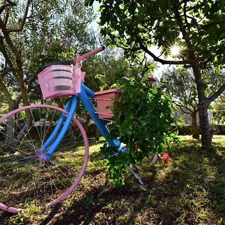 Countryside Valentina Vrh (Krk)