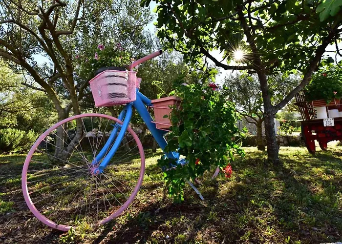 Countryside Valentina Vrh (Krk)